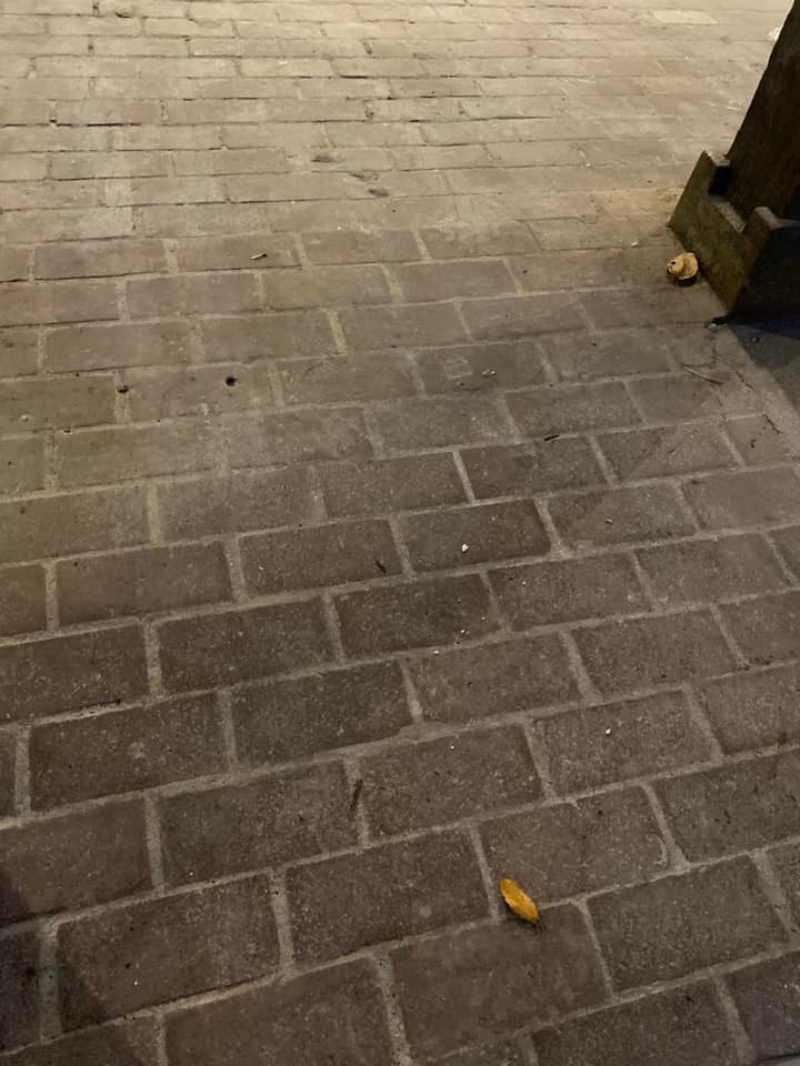 Vanjerrickos Cleaning Services LLC